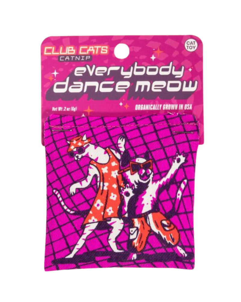 Everybody Dance Meow Cat Nip