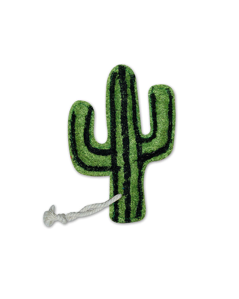 Cactus Loofah