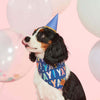 Birthday Yay Dog Bandana